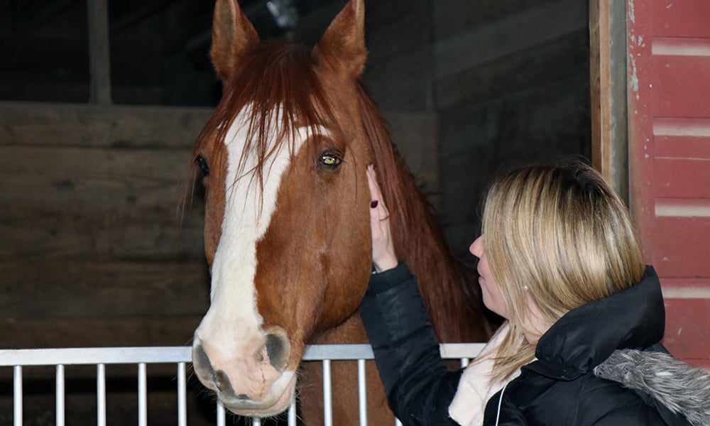 teacher-pets-horse-danada-equestrian-center