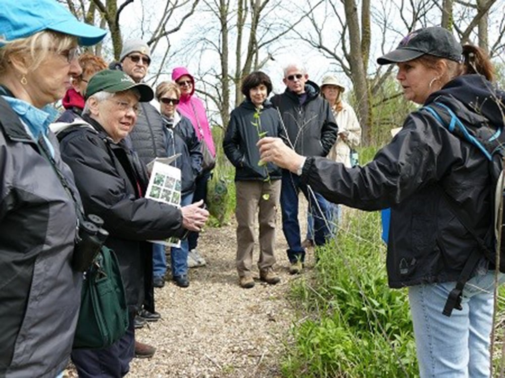 Spring-Wildflower-Walk-Credit-The-Morton-Arboretum