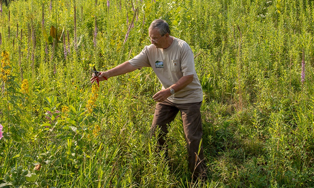 Conrad-in-field