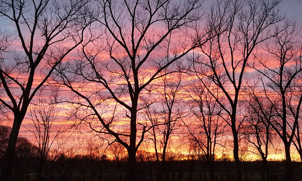 Debby-Blackwell-nursery-sunset