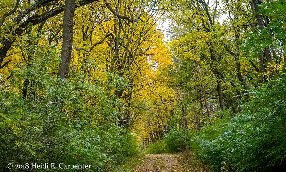 HIdden-Lake-Heidi-Carpenter