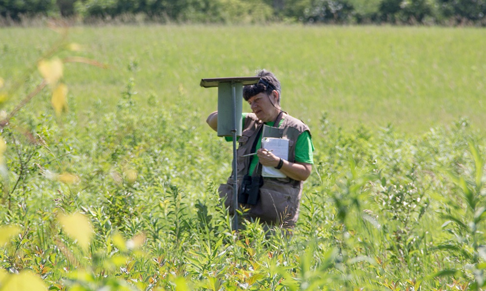 Helen-nesting-box