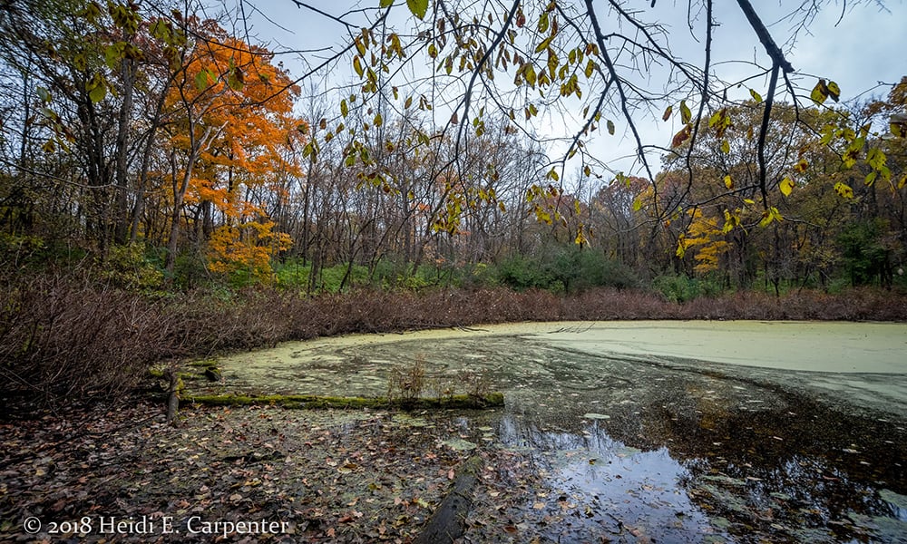 Hidden-Lake-water-Heidi-Carpenter