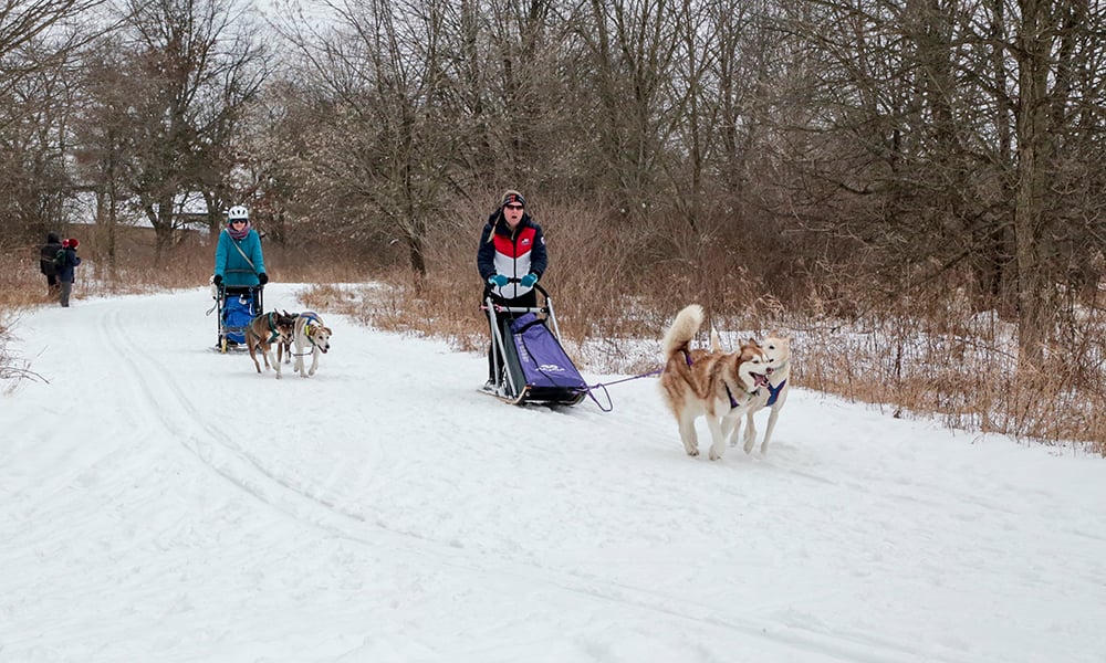 Melissa-Annie-sled-1000x600