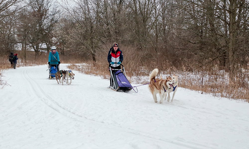 Melissa-Annie-sled-1000x600