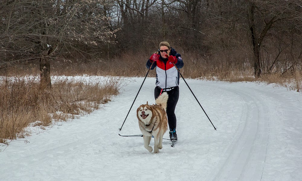 Melissa-skijoring-1000x600