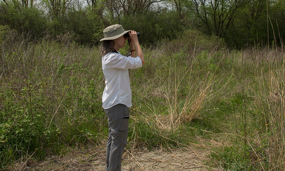 Nancy-Allured-binoculars-2148-1000x600