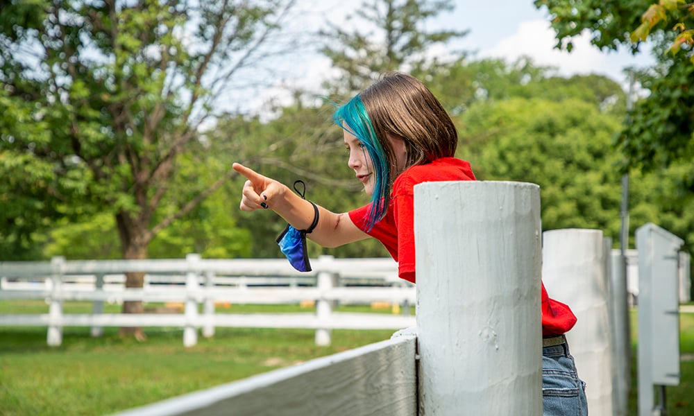 Tessa-fence-1000x600-616