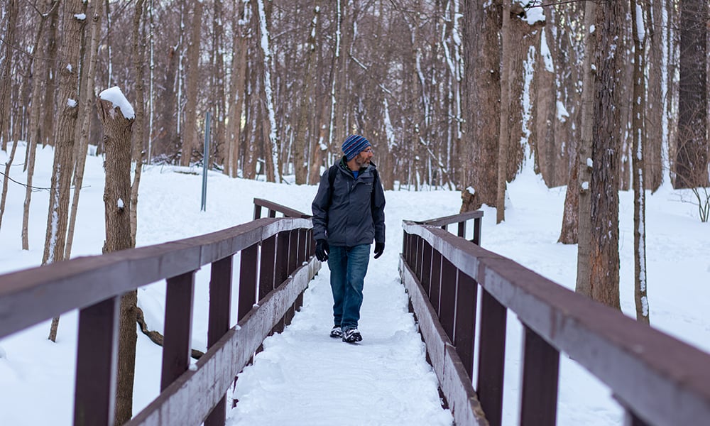 andrew-hipp-bridge