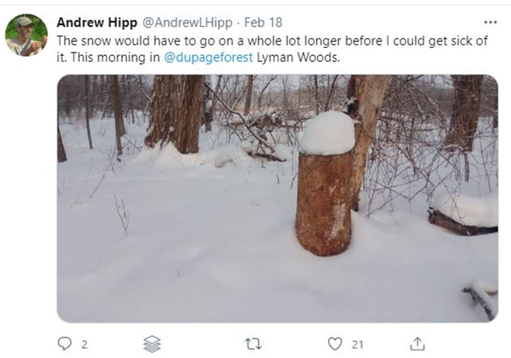 andrew-hipp-tweet-winter