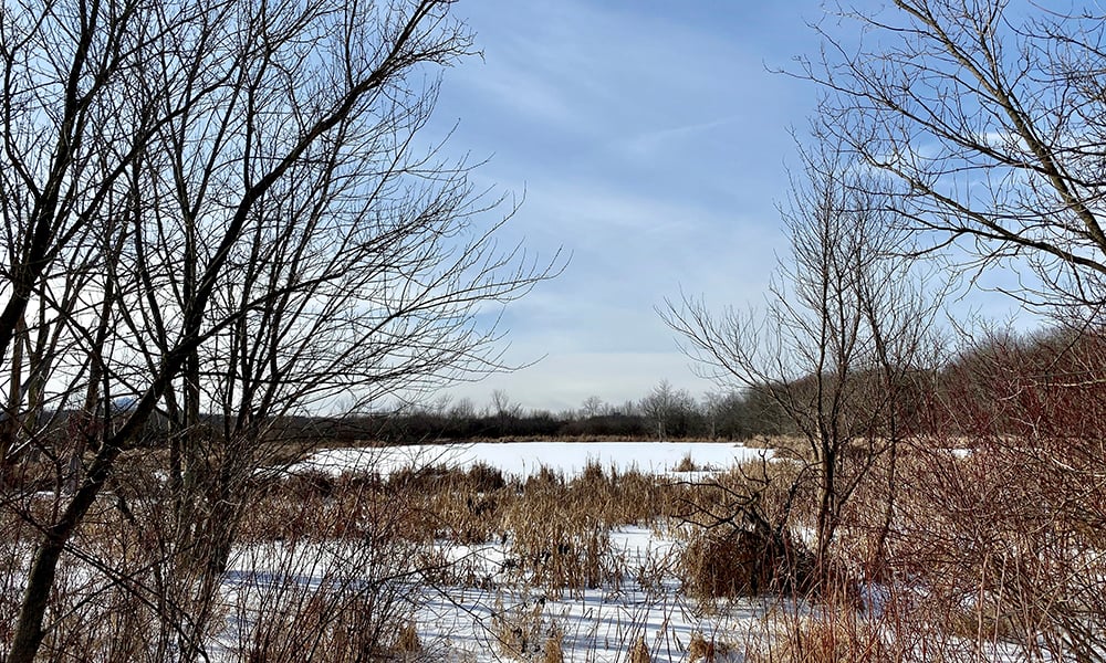 frozen-lake