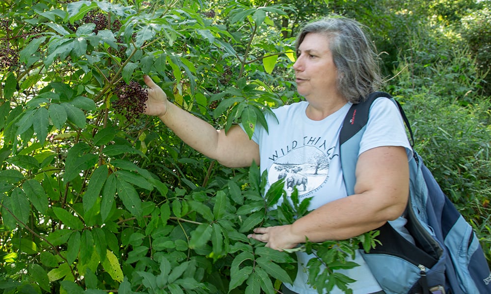 lorinda-elderberry-2