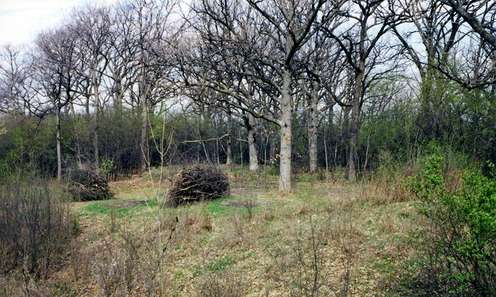 mayslake-before-restoration