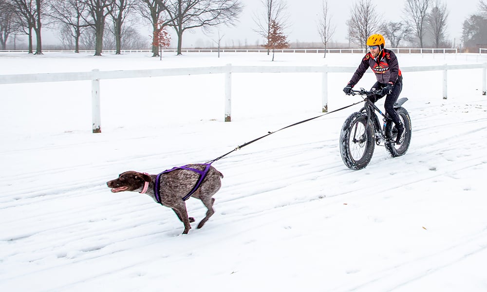 sean-bella-bikejoring