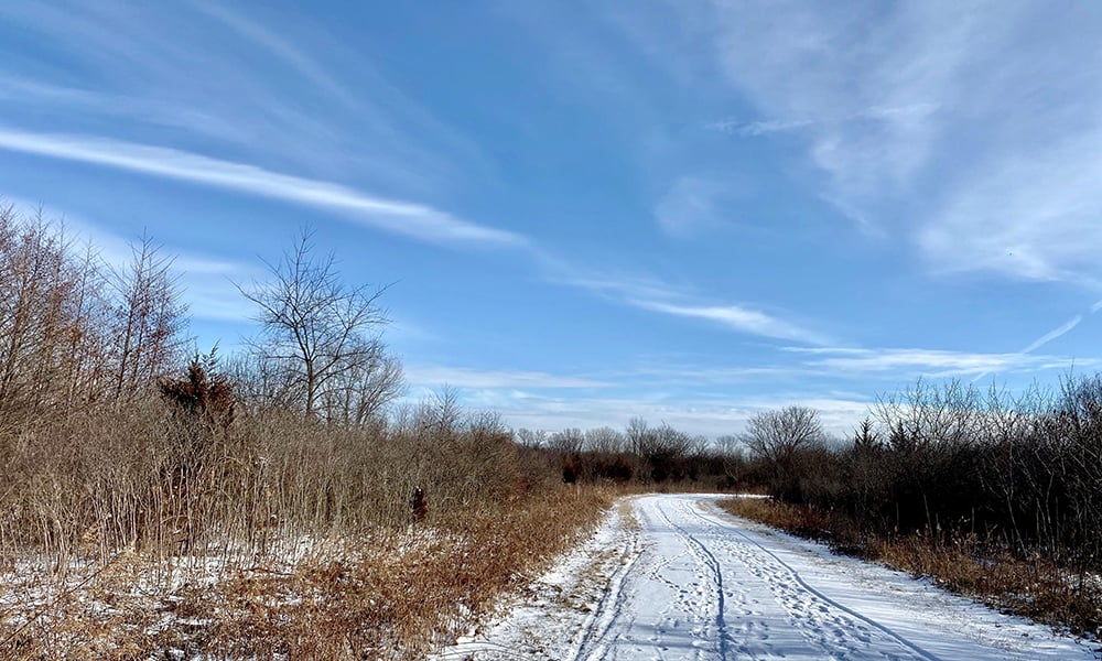 trail-winter