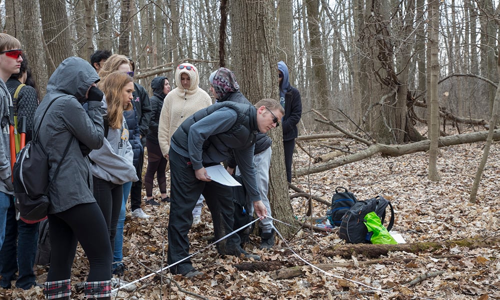 tree-transects