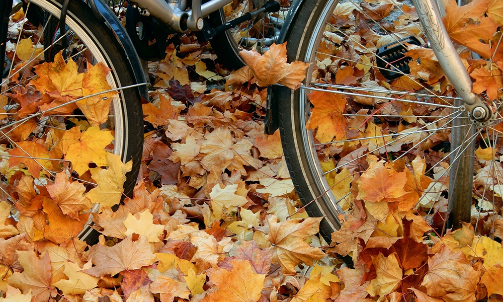 bicycle-wheels-in-leaves-MirabelkaSzuszu-CCBYSA2.0