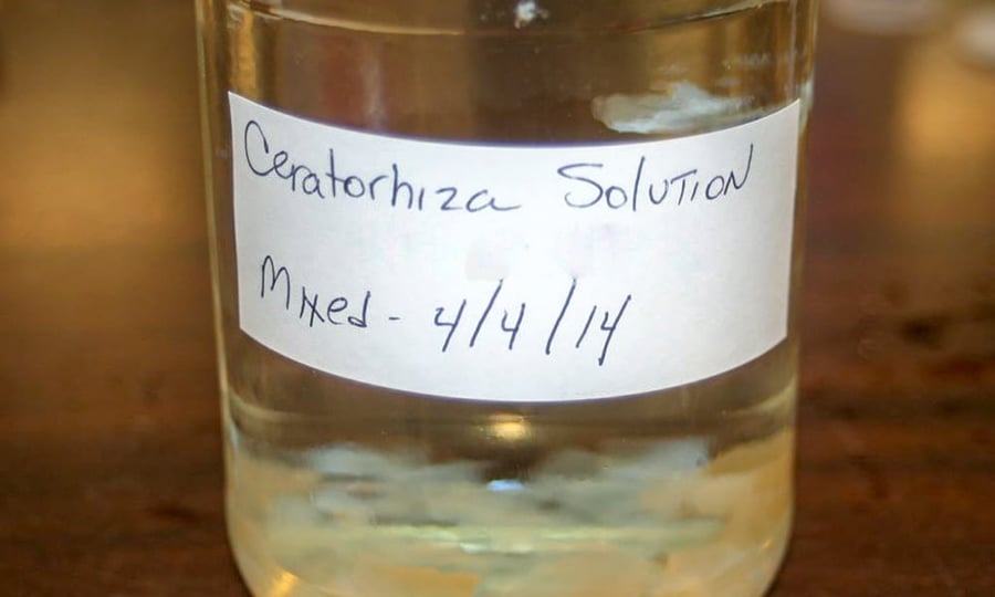 A jar labeled Ceratorhiza Solution.