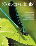 cover of summer 2019 Conservationist