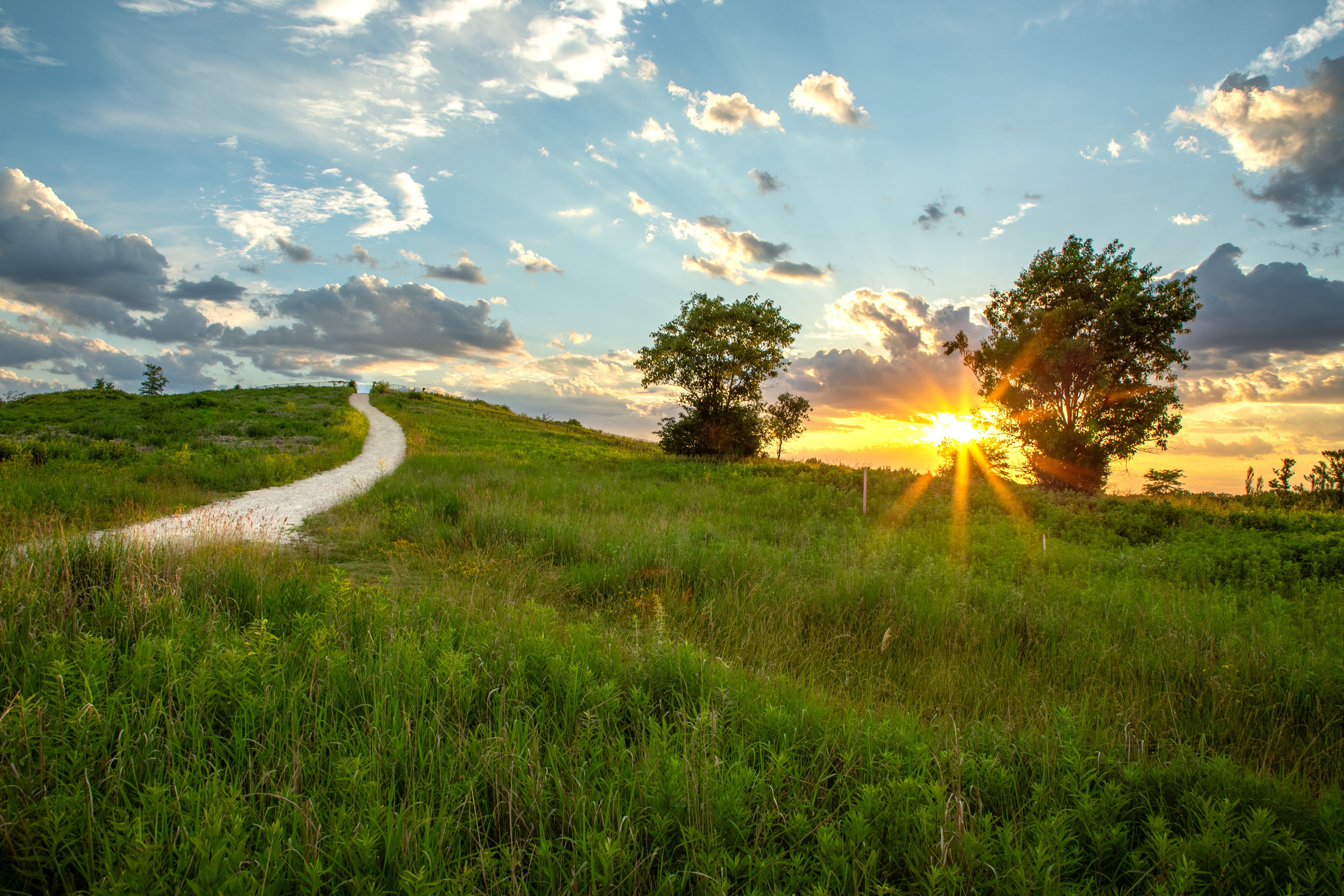 A hiking trail meanders up a hill.