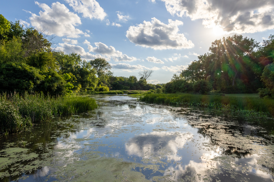 Sun rays penetrate towering tree branches to illuminate a calm river that reflects clouds and a blue sky.