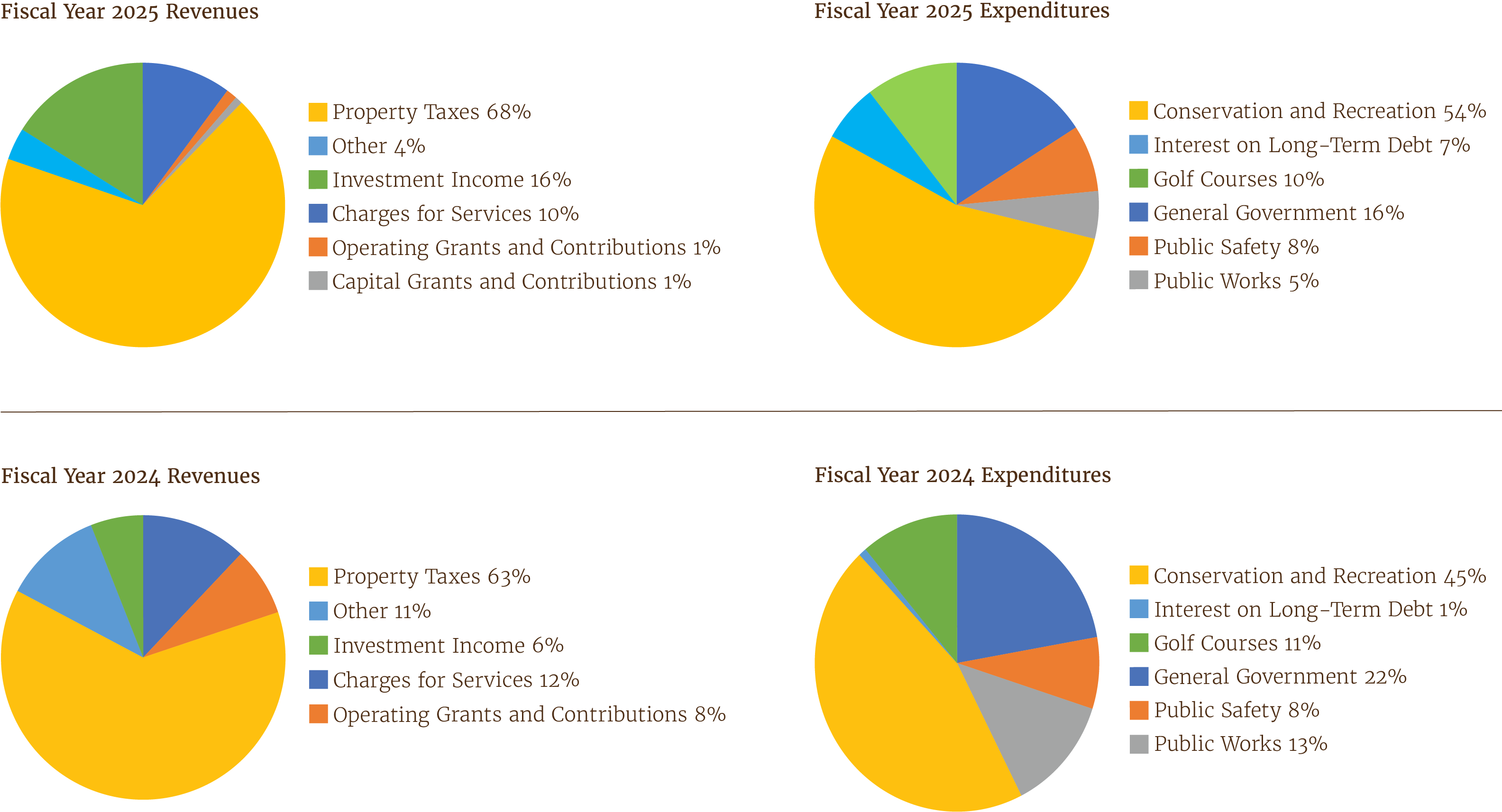 pie charts showing revenues and expenditures for 2025 and 2024