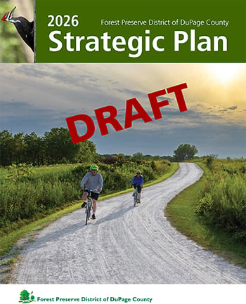 the cover of the draft 2026 strategic plan
