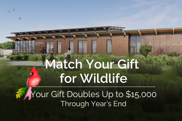 Year-End-Master-Plan-Match-600-400