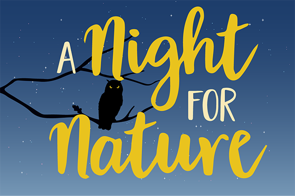 a-night-for-nature-web-feature-600-400