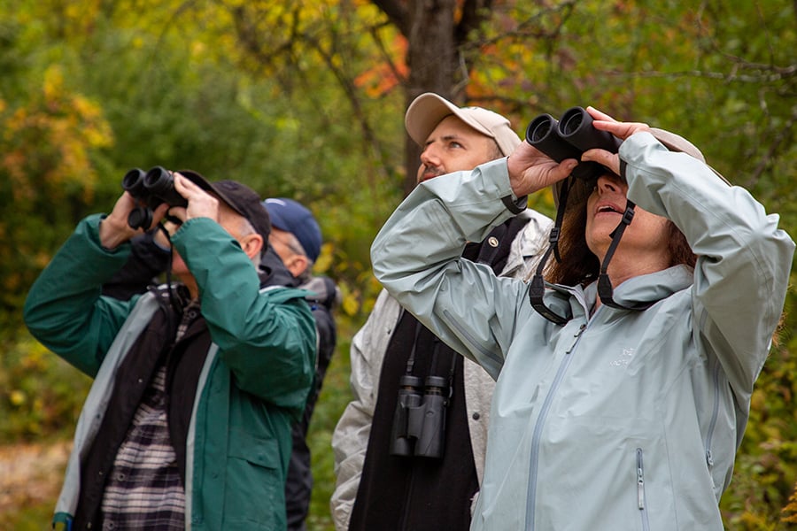 birding-program-participants-with-binoculars-900-600