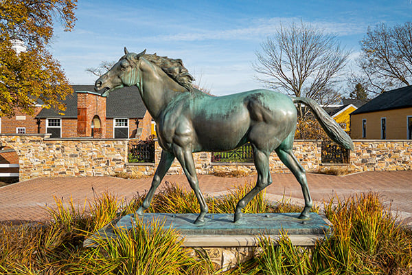 chamoissairre-sculpture-st-james-farm-600-400