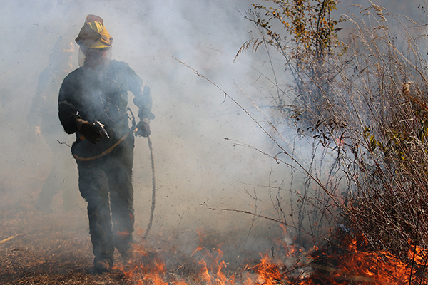 prescribed-fire-prairie-natural-resources-management-600-400