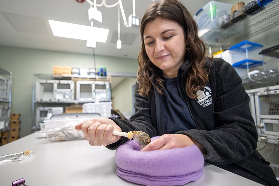 squirrel-feeding-wildlife-center-900-600-150