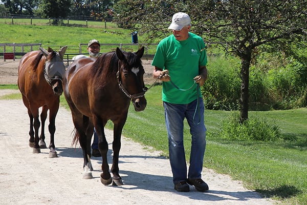 two-volunteers-danada-equestrian-center-walk-horses-600-400