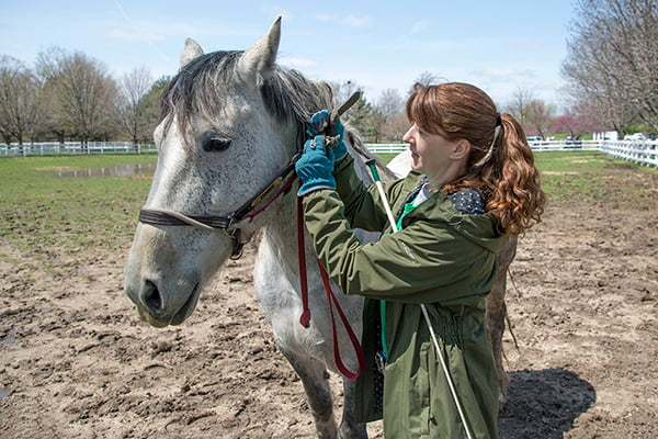 volunteer-Deb-Yatka-with-horse-600-400