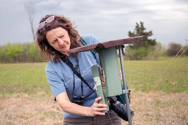 volunteer-natural-resources-bluebird-monitor-check-box-600-400