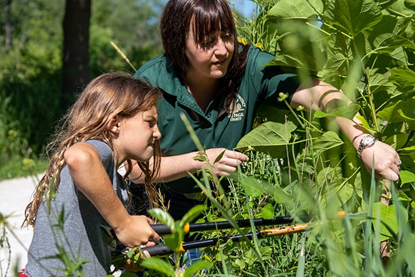 volunteer-visitor-engagement-willowbrook-summer-camp-600-400