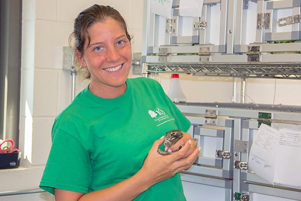 volunteer-willowbrook-wildlife-center-with-cottontail-600-400