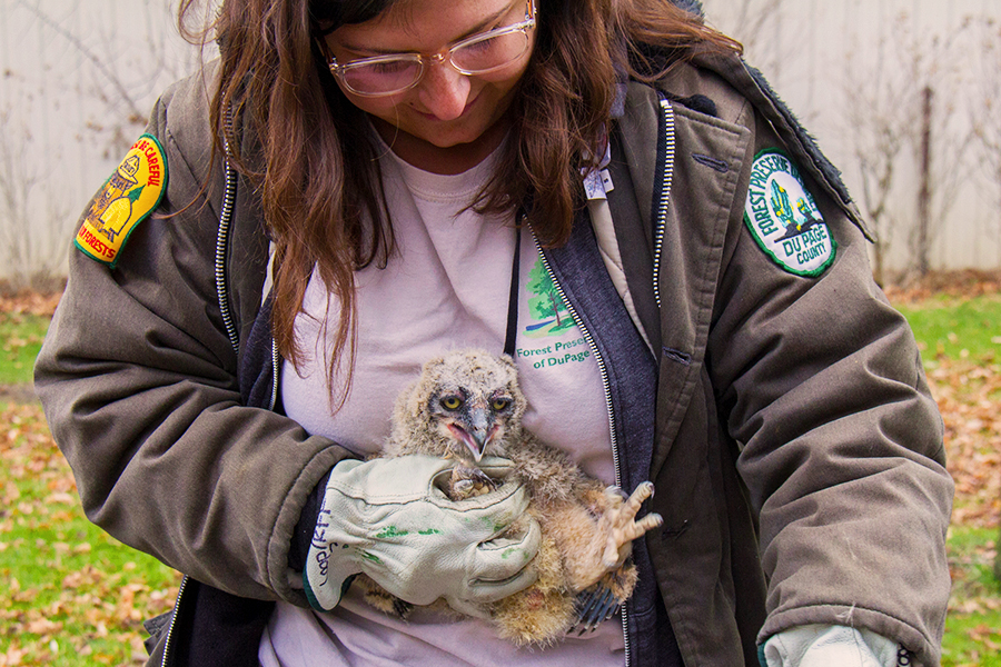 person holding an owl