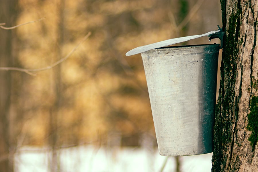 AdobeStock_283572191-maple-syrup