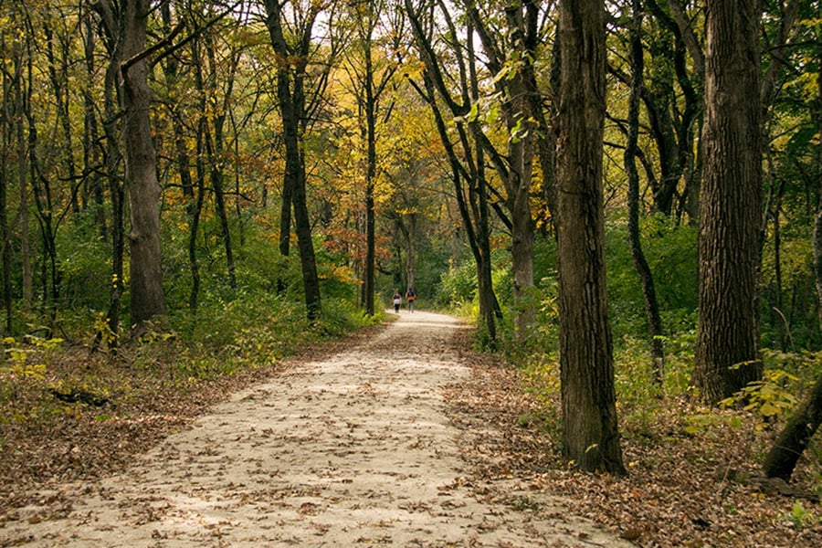 Blackwell fall trail