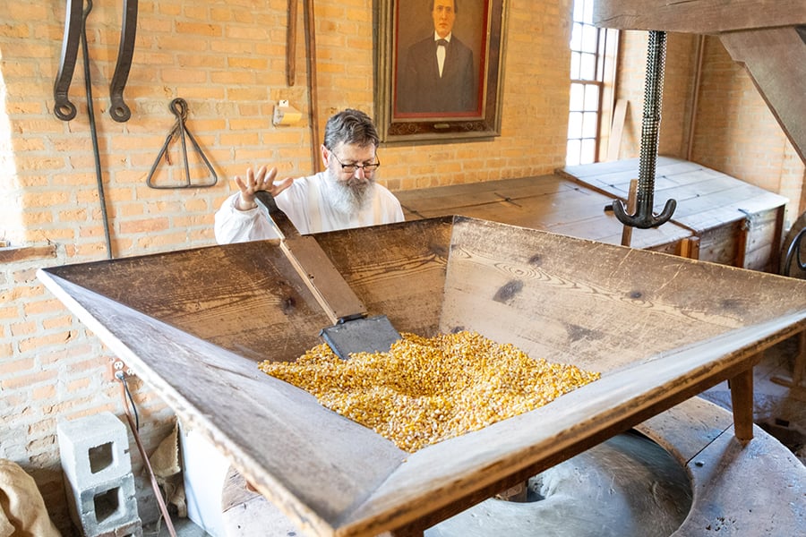 a male bearded volunteer feeds corn into the mill's grinding stones