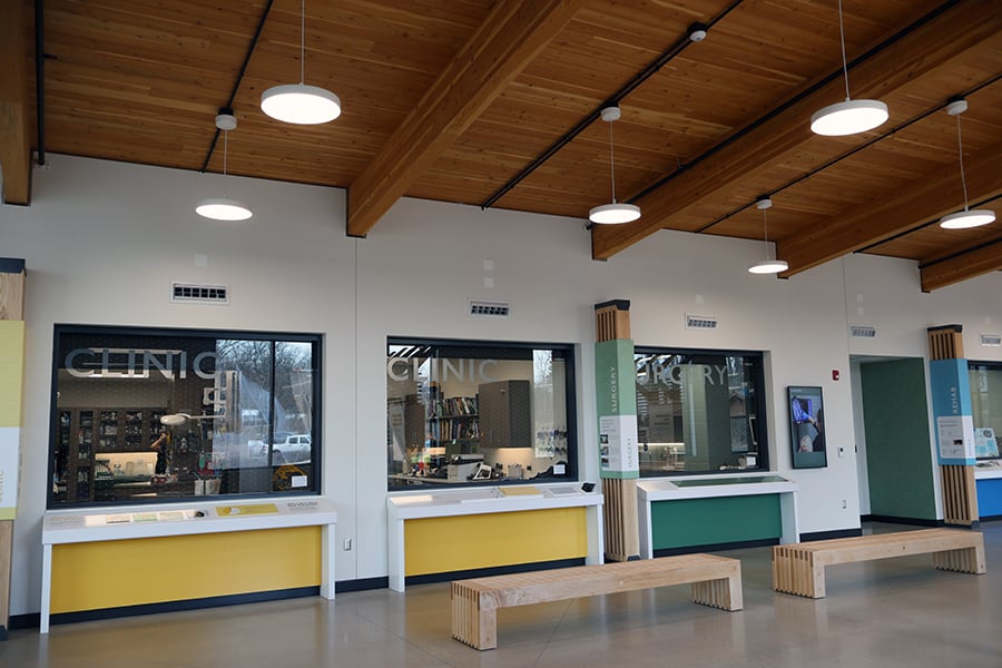 DWCC-treatment-windows-900x600x150 DWCC-treatment-windows-900x600x150