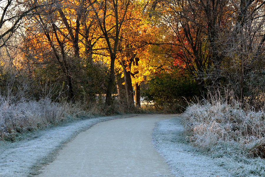 trail at Cricket Creek