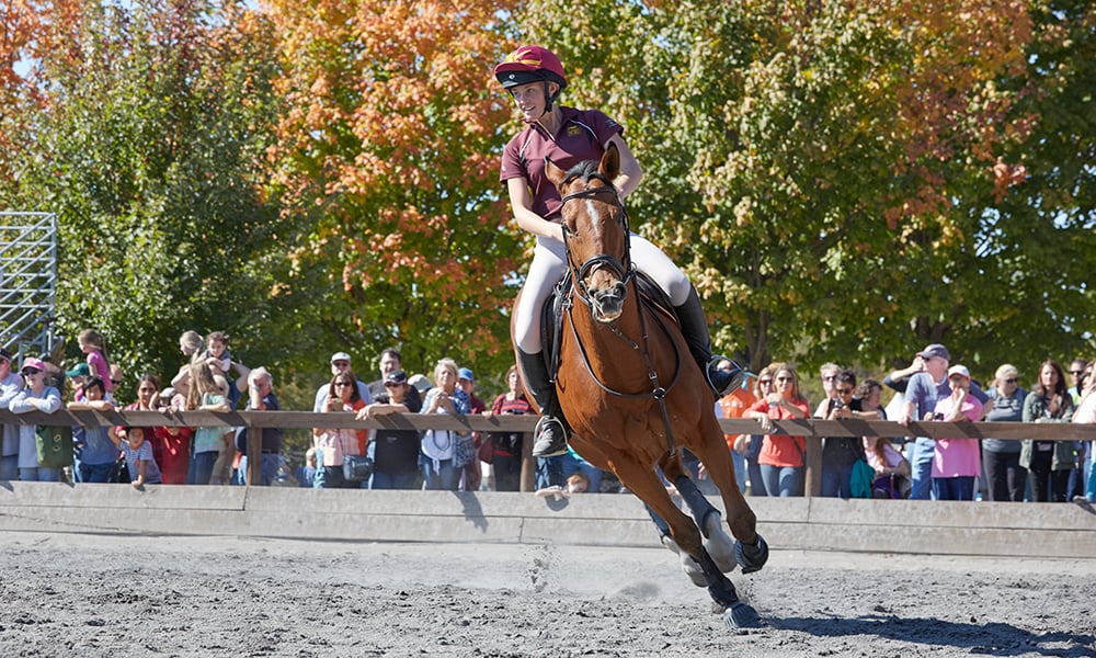 Fall-Festival-at-Danada-Equestrian-Performance-1000-600