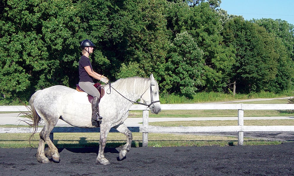 danada-equestrian-center-individual-riding-lesson