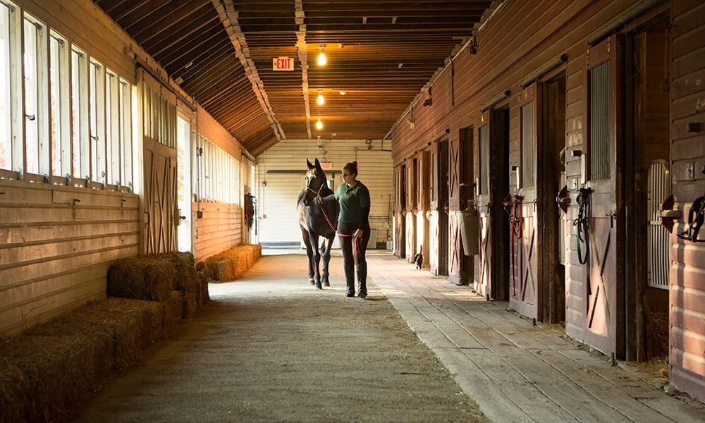 danada-equestrian-center-kentucky-style-barn-interior