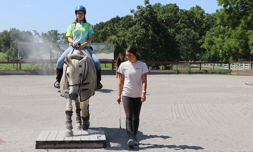 danada-riding-lesson-over-obstacle-1000-600