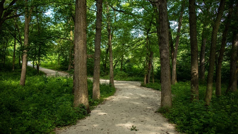 Mayslake Hall Unseen Spaces Tour, Sat, Jan 26, 2019, 10:30am - 12pm -  Calendar of Events