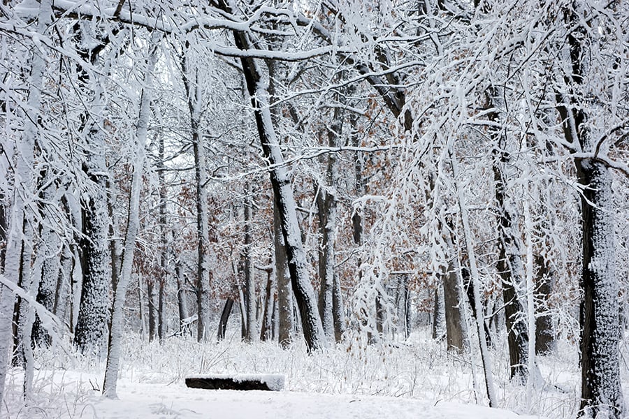 Greene Valley in winter